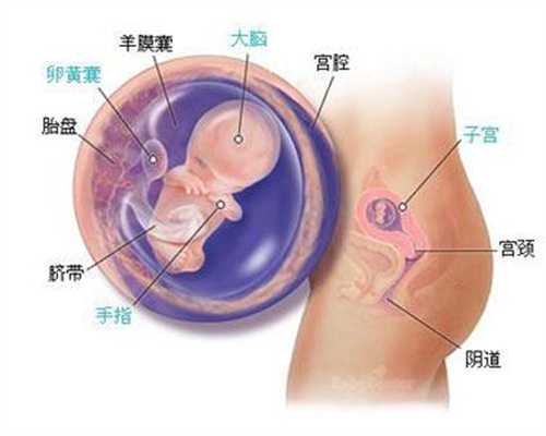 AA69国际助孕_专业助孕哪家好_人工助孕具体流程