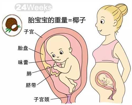 专业的助孕包成功_国内比较大的助孕机构_助代怀孕双胞胎