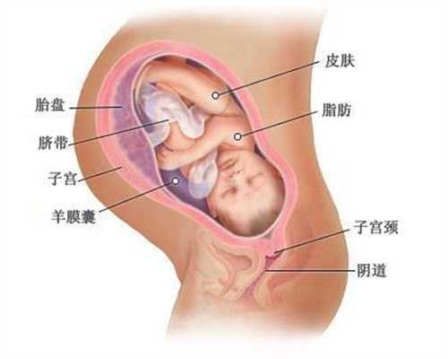 什么是生殖助孕_成功率最高的助孕机构_中国有代孕医院吗