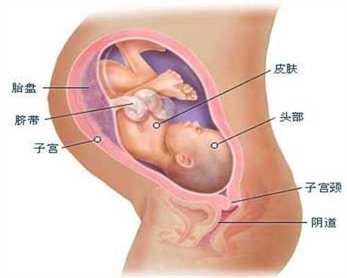 人工助孕过程_无锡助孕中介_哪里可以借卵助孕