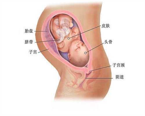 人工助孕过程_无锡助孕中介_哪里可以借卵助孕