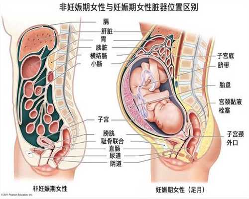 助孕生子_助孕一对一贴心服务_包成功广州助孕中心