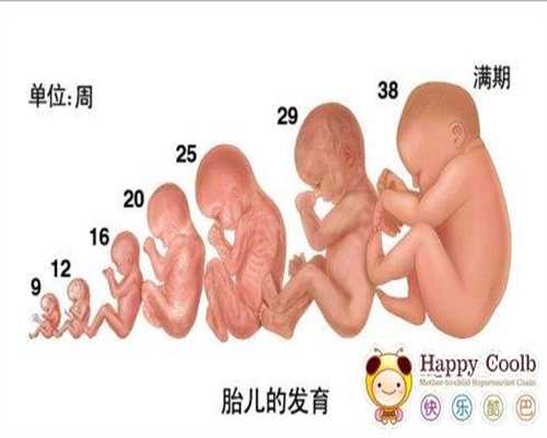 专业试管助孕代怀孕_添一助孕价格表_中国天使助孕网